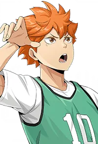 Shoyo Hinata