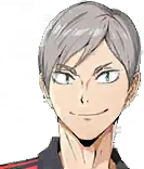 Lev Haiba