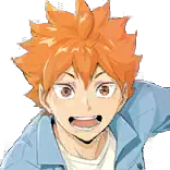 Shoyo Hinata