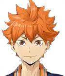 Shoyo Hinata