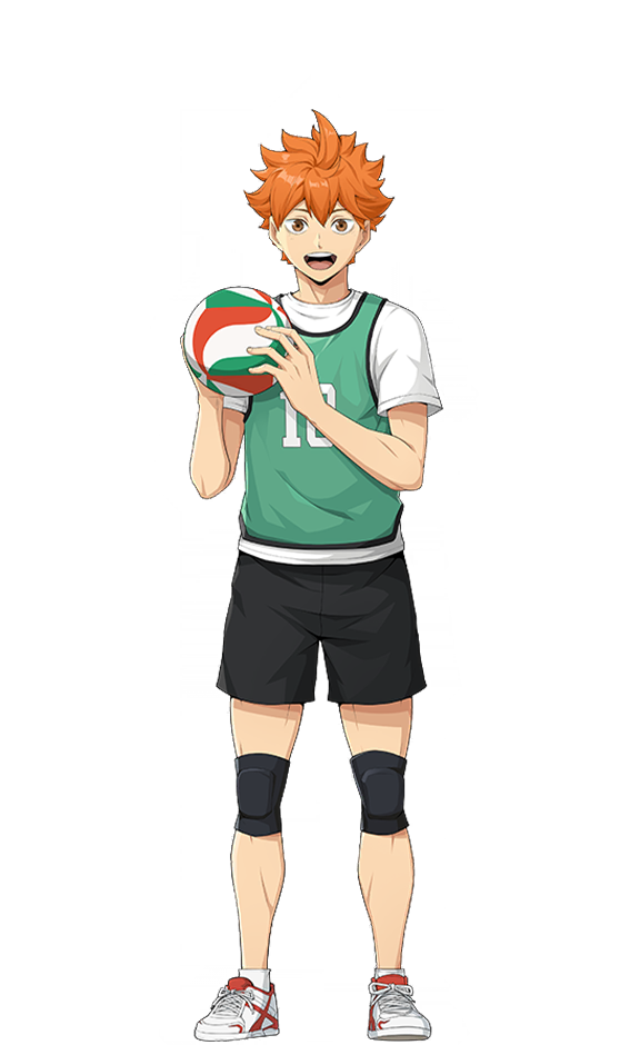 Shoyo Hinata